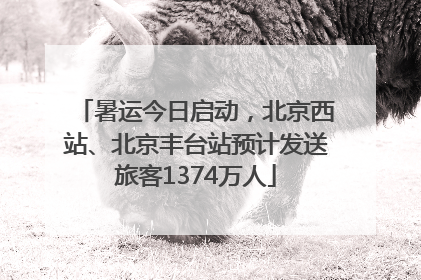 暑运今日启动，北京西站、北京丰台站预计发送旅客1374万人